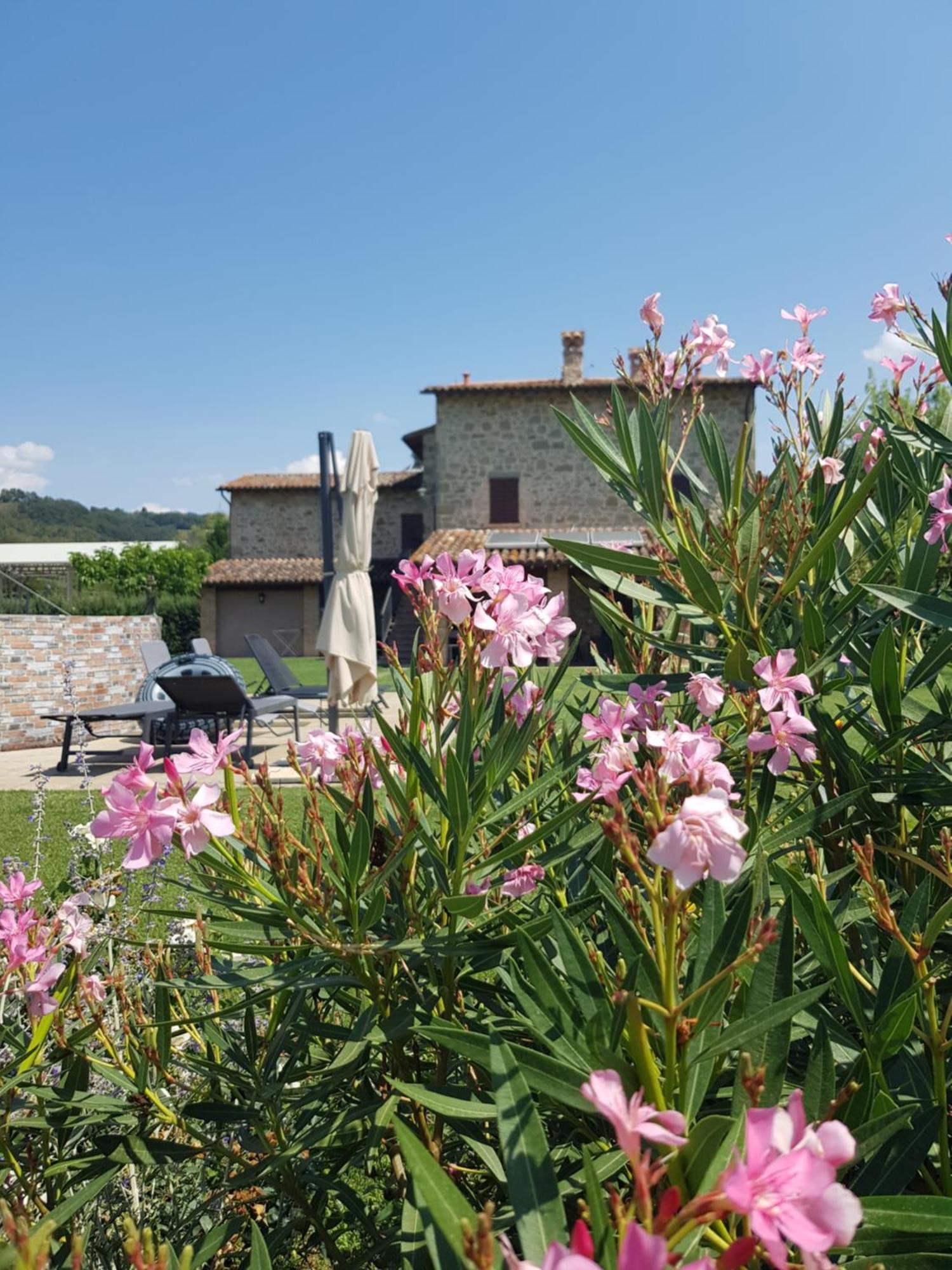 Agriturismo Villa Al Piano Todi Exterior foto